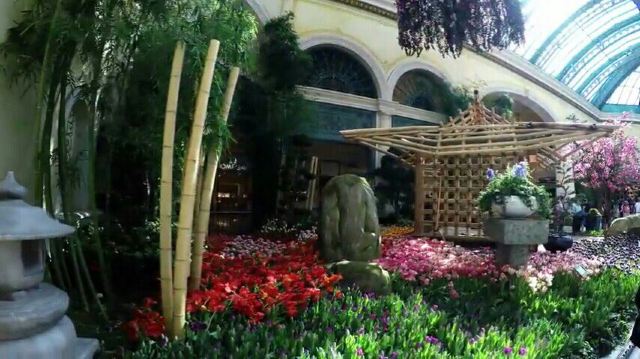 Bellagio Conservatory and Botanical Gardens