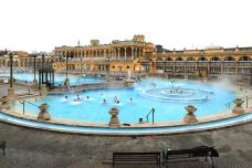 布达佩斯-doris圈圈