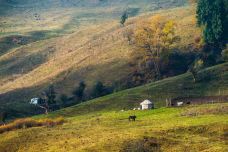 库尔德宁景区-巩留-doris圈圈