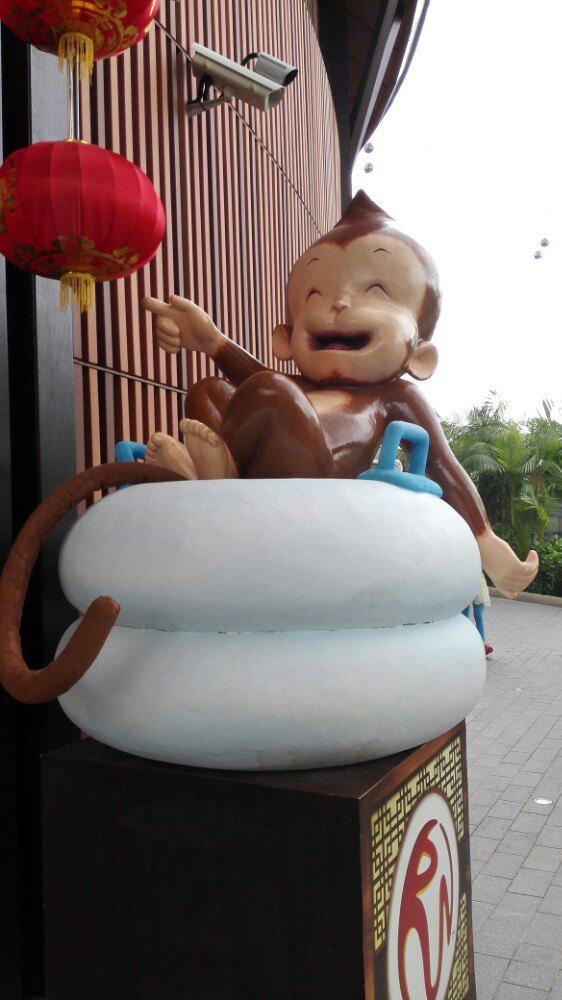 Adventure Cove Waterpark