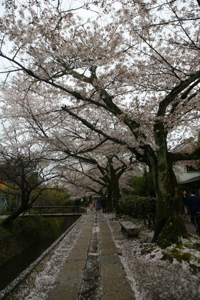 Philosopher's Walk
