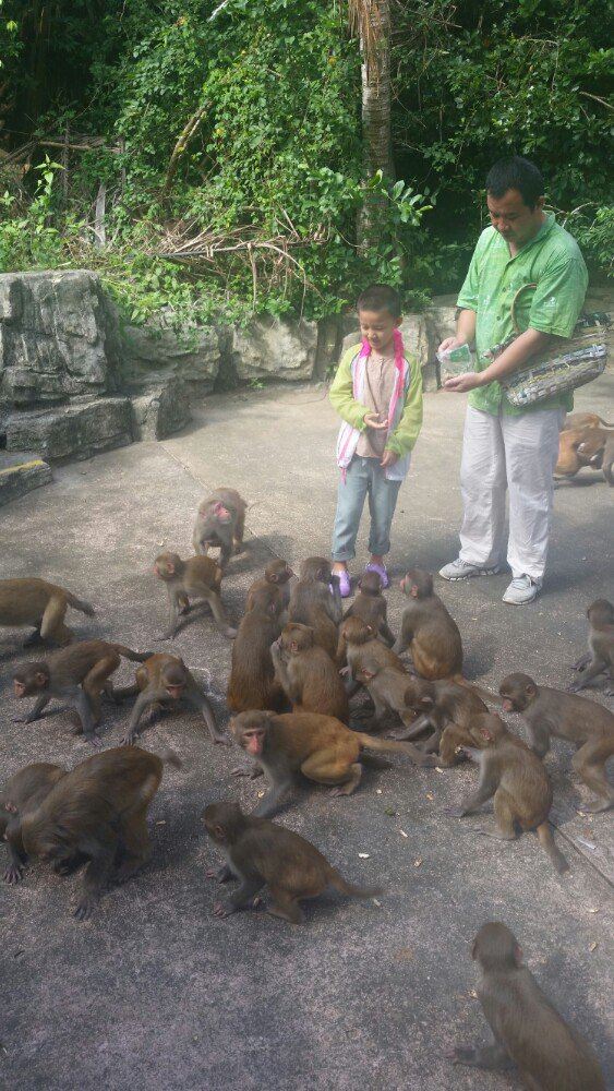 Nanwan Monkey Island