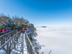 张家界刺激玩法1日游