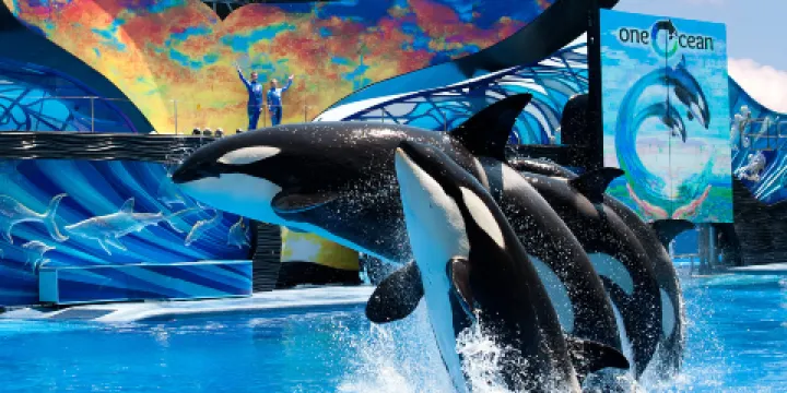 奧蘭多海洋世界