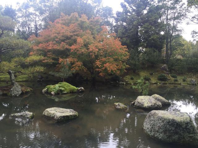 Hamilton Gardens