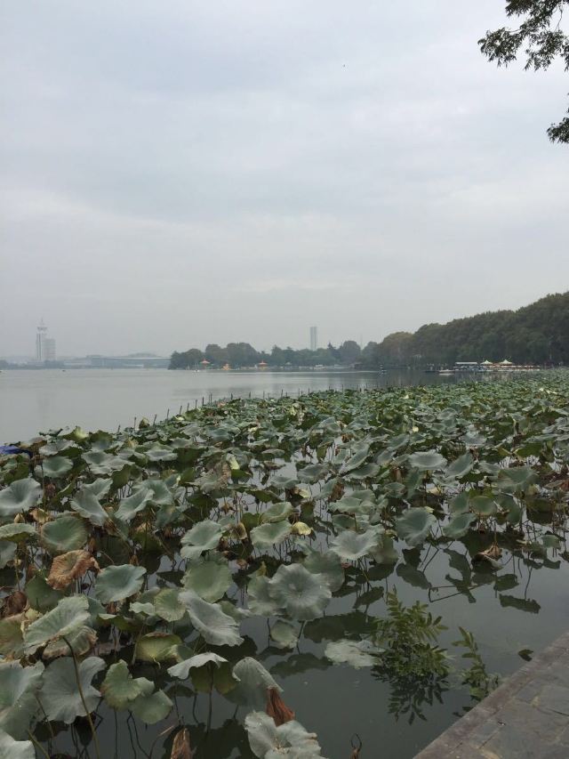 Xuanwu Lake
