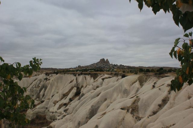 Pigeon Valley
