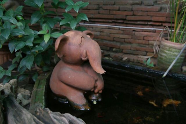 왓 록 몰리