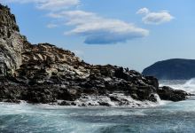 霍尔斯山谷旅游图片-费尔德山国家公园+亚瑟港+霍巴特等多地六日游