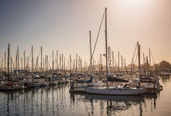 加州1号公路+17里湾风景线+蒙特雷湾+斯坦福大学一日游【旧金山周边游[阳光加州+中文专车+行程可调]】