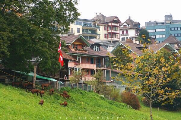 Town of Spiez