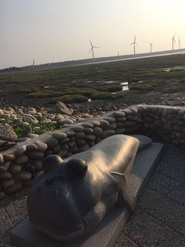 가오메이 습지