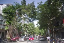 菊芳国家公园景点图片