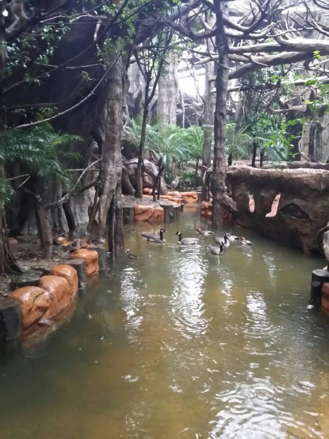 Chuanlord Tourism & Leisure Expo Garden