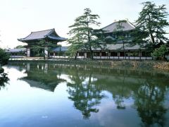 高野山+奈良の礼佛之旅