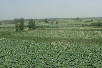 大城小爱·宜昌