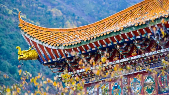金剛寺
