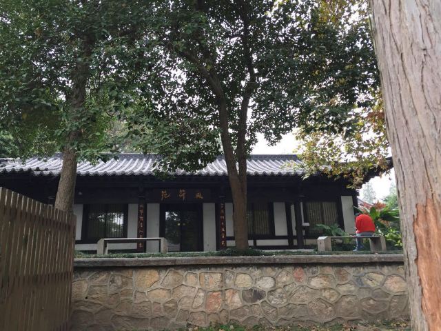 Xuanwu Lake