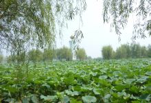 团湖景点图片