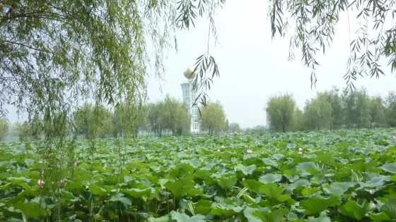 團湖