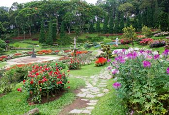 加拿大维多利亚+布查德花园一日游【参观拥有百年历史的布查特花园】