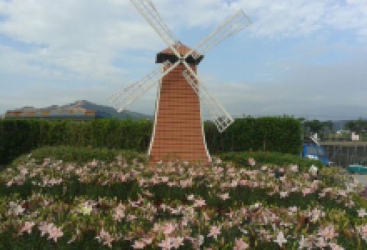 中社观光花市景点图片