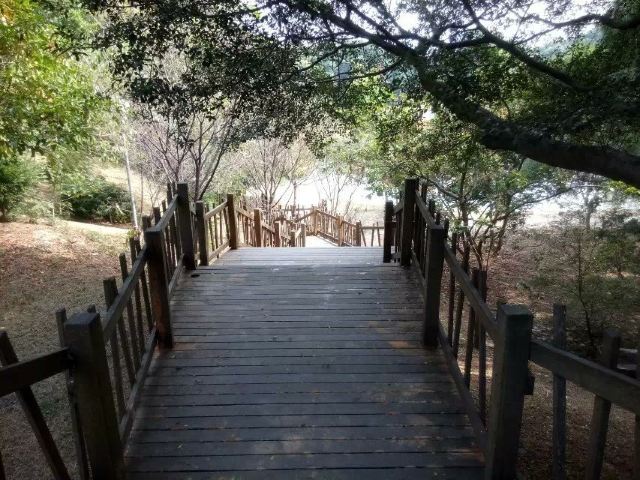 동해대학