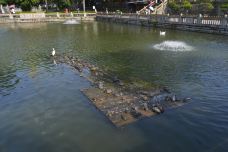 南普陀寺-放生池-厦门-doris圈圈