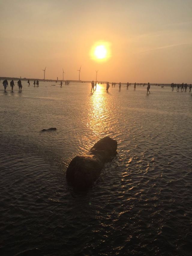 가오메이 습지