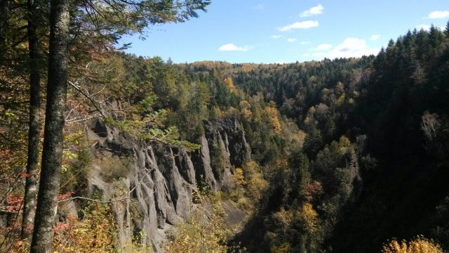 West Slope of Changbai Mountain Scenic Area