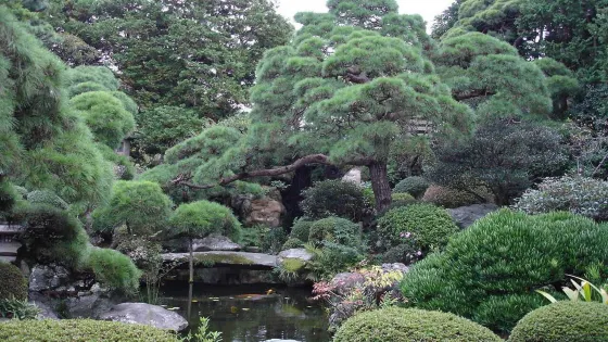 山本亭