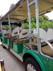 李子箐石林-石林-_CFT01****3393129