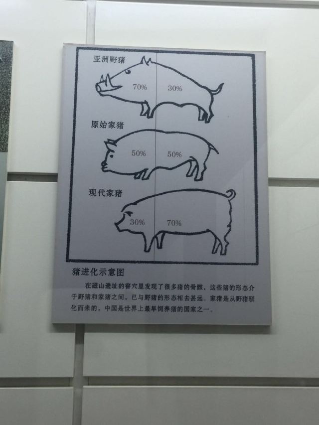 한단시박물관