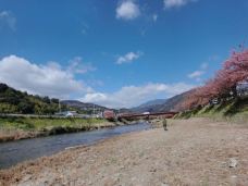 日本城-旧金山-YoYo_3G4D3S0E