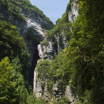 重庆武隆天生三桥+龙水峡地缝+《印象武隆》实景演出+仙女山国家森林公园+戴家巷崖壁步道+洪崖洞民俗风貌区+夜游两江+李子坝轻轨站+磁器口古镇+山城步道4日3晚私家团