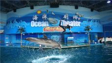 苏州海洋馆-苏州-YoYo_2T2M6Z2R