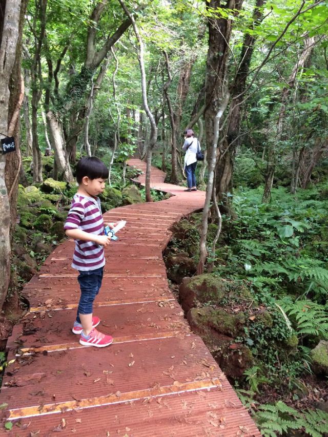Eco Land Theme Park