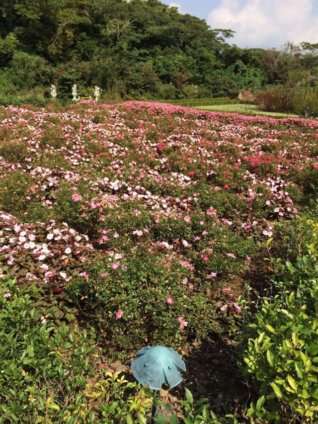 Eco Land Theme Park