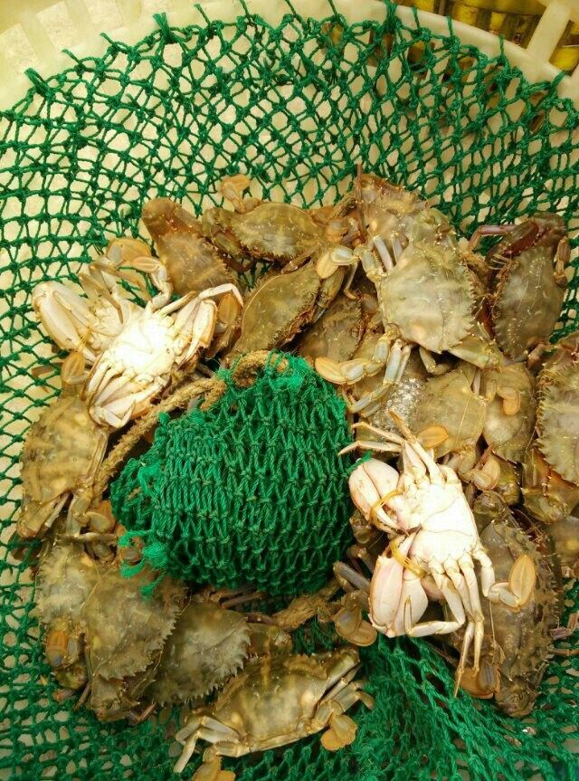 白沙岛海钓乐园