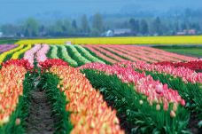 斯卡吉山谷-斯卡吉特县-Hello_Yuanzi