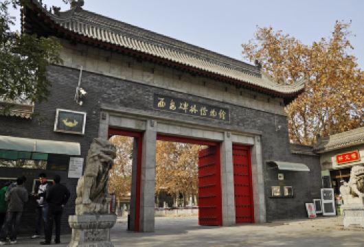 西安碑林博物馆+千古情一日游【网红打卡大唐不夜城·小团】【漫游13朝古都，感受盛世长安，千年遗址，人文印记，触手可及，用脚步丈里历史，一日看尽长安花，一网打尽】