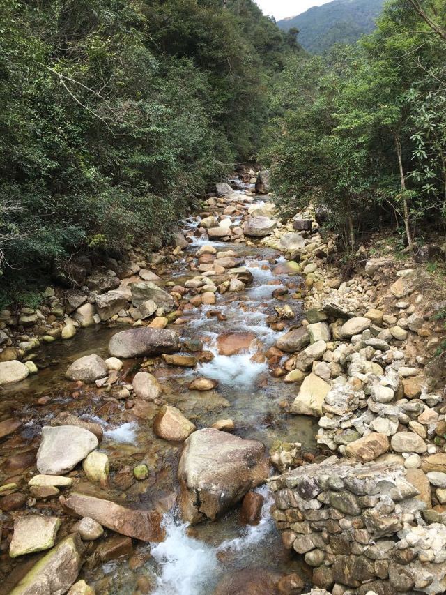 Gupo Mountain
