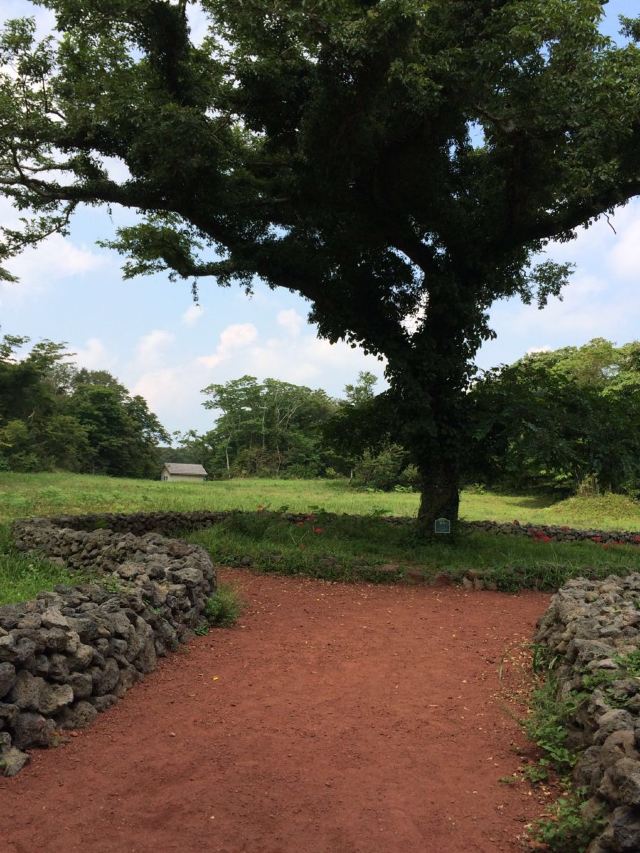 Eco Land Theme Park