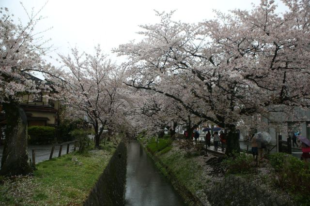 Philosopher's Walk