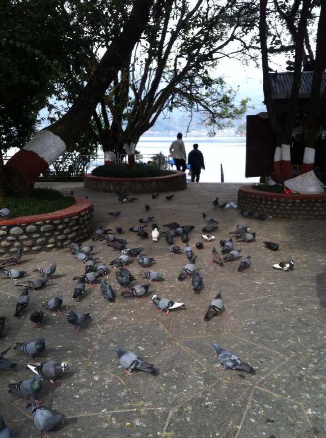 Phewa Lake
