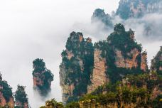 天波府-张家界-doris圈圈