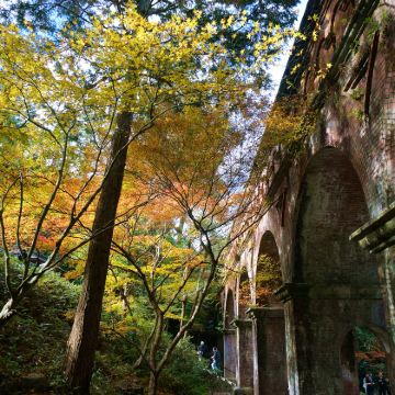 日本大阪+奈良+京都+神户+名古屋+白川村11日10晚自由行