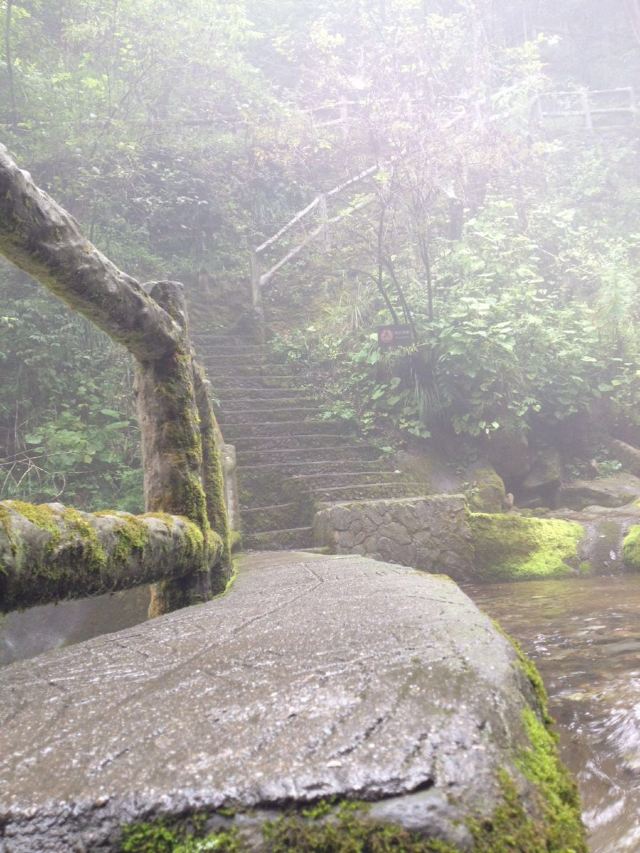 Xiang Xi Yuan Attractions M13 146 Shennongjia Travel Review