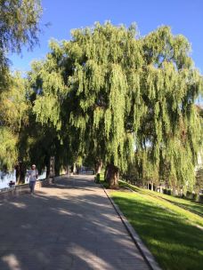 南湖公园-长春-D12****399