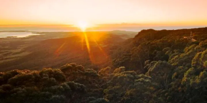 伊拉瓦拉樹頂漫步道